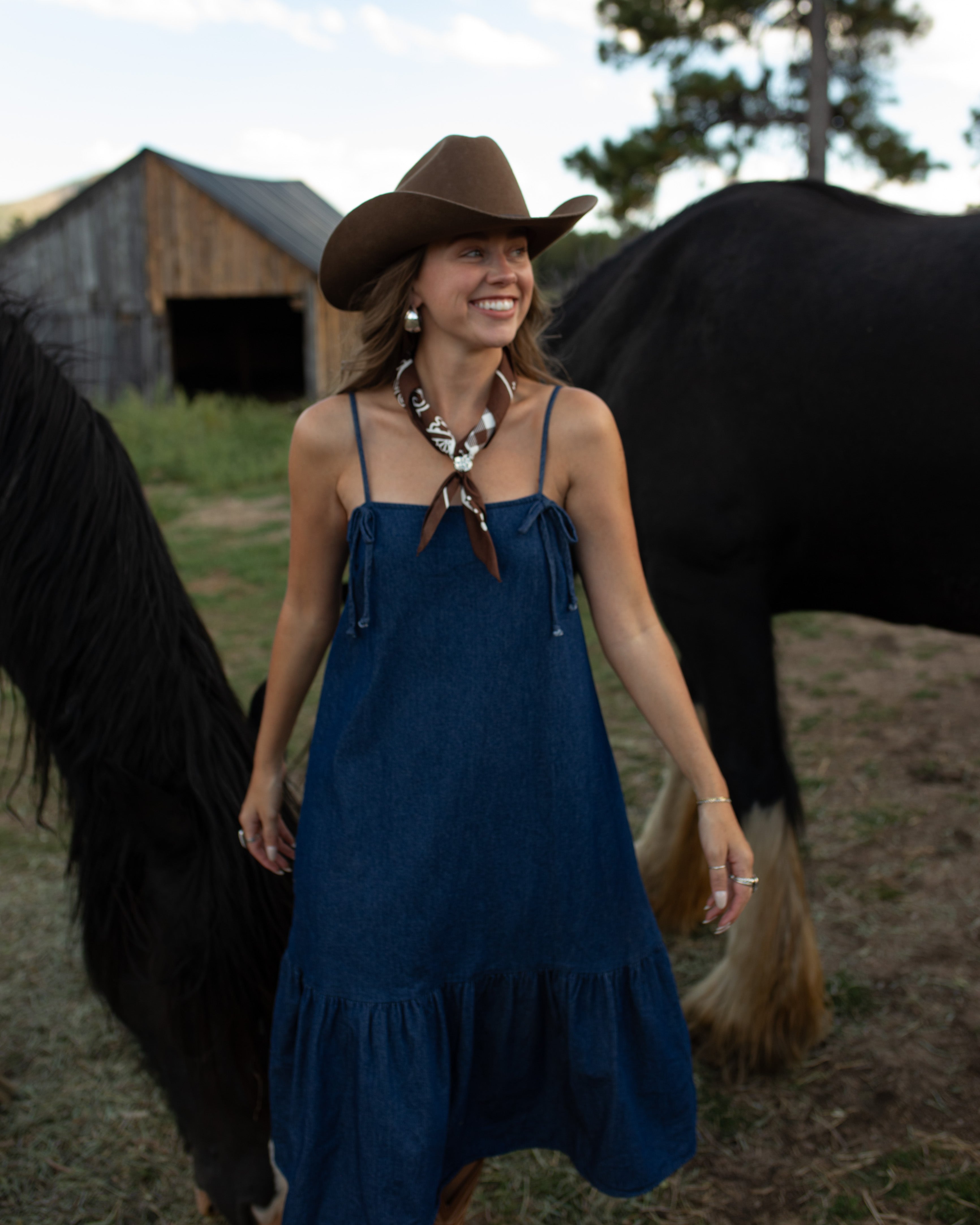 Bonnie Denim Dress Court's General Store Bonnie Denim Dress Court's General Store