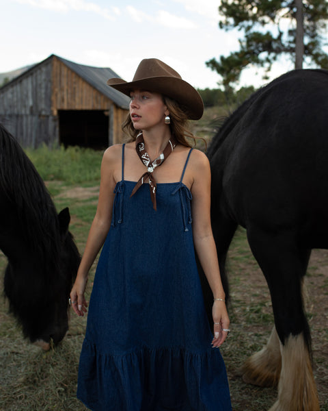 Bonnie Denim Dress – Court's General Store