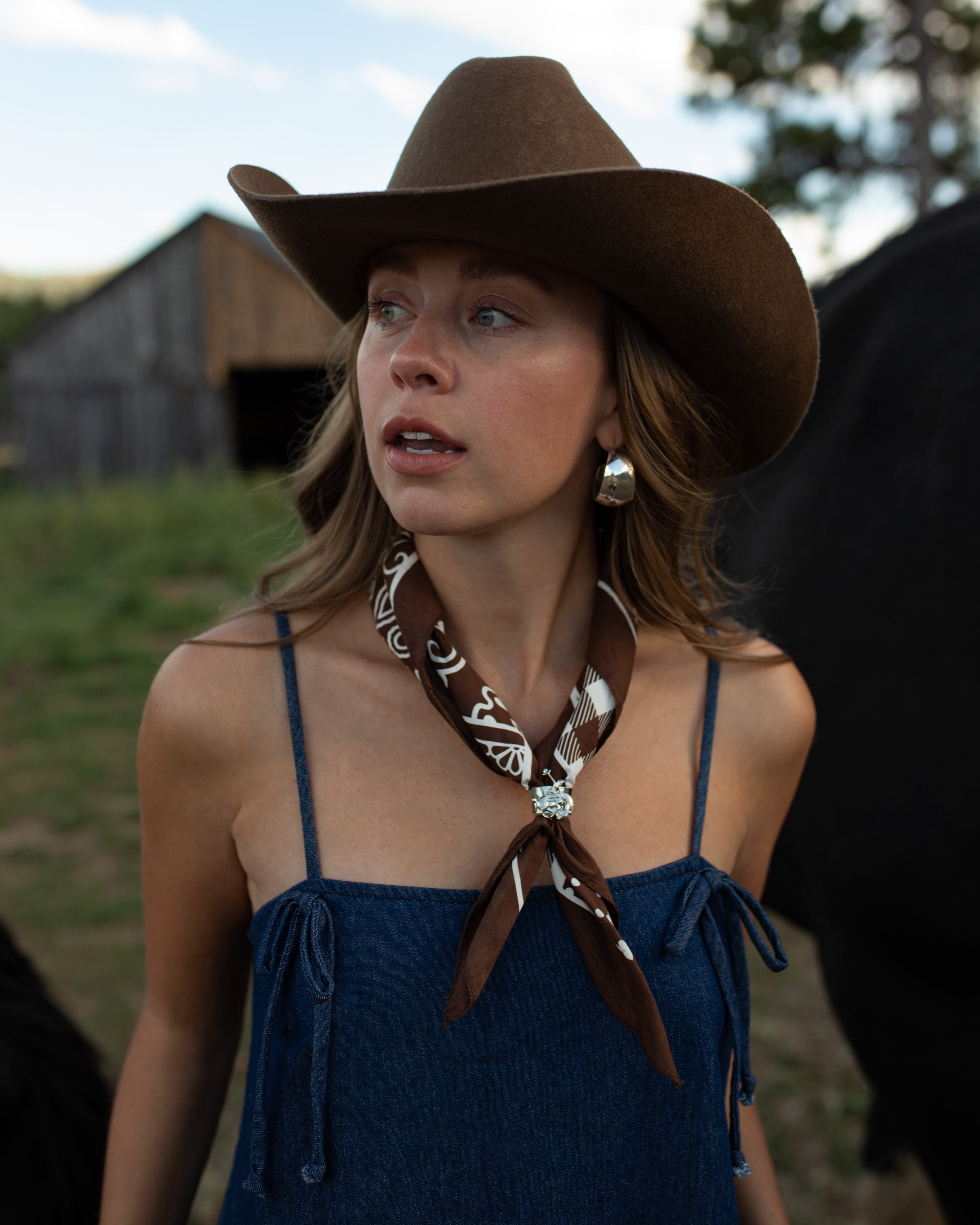 Bonnie Denim Dress Court's General Store Bonnie Denim Dress Court's General Store