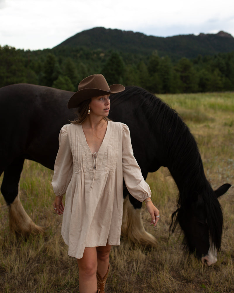 Palomino Pleated Dress