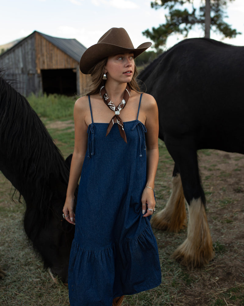 Bonnie Denim Dress