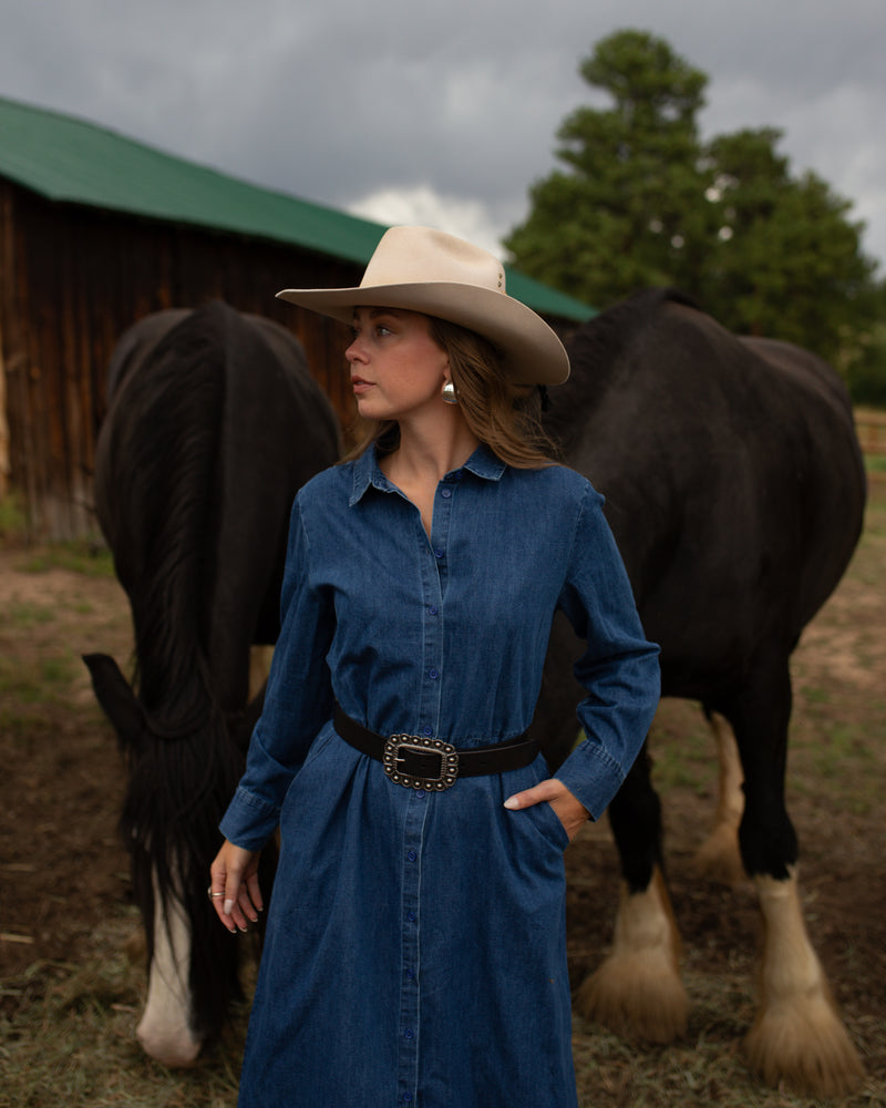 Clyde Denim Dress